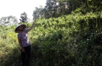 Ra quyết định trái luật, chủ tịch TP Cần Thơ thua kiện 