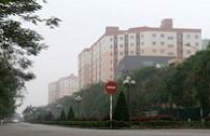 Thị trường chung cư: Lộ rõ sự bế tắc 