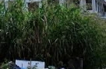 Bỏ tiền tỷ mua nhà thiếu cơ sở hạ tầng trầm trọng