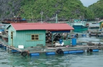 Phá dỡ công trình trái phép quanh bờ vịnh Hạ Long 