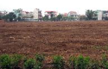 Tư hữu đất đai: Nên hay không?