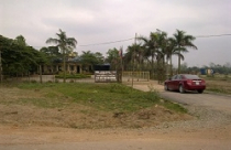 Đất nền giá rẻ... hút tiền 