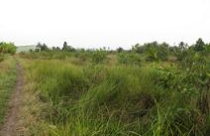 Giám đốc mua bán đất bằng hợp đồng giả tạo