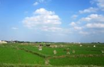 Thực hư “sốt” đất nghĩa trang ở Đường Lâm 