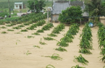 “Bão cát” titan đổ xuống khu dân cư