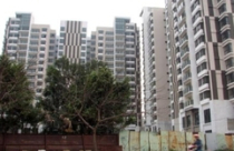 Chung cư tái định cư chất lượng kém