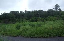 Đến bao giờ người dân Vạn Hương, Hải Phòng mới được tái định cư? 