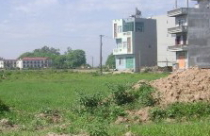 Bình Dương: Tối đa 300m2 cho hạn mức đất ở và công nhận đất ở