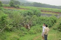 Mua đất quanh Hòa Lạc, dính quy hoạch như chơi 