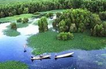 Đồng bằng Sông Cửu Long thu hút 58 dự án FDI trong 9 tháng