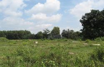 Bình Dương: Dự án sau 8 năm vẫn là... bãi đất trống 