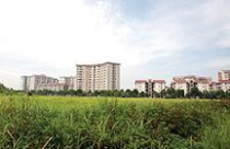 Đóng tiền sử dụng đất theo giá thị trường: Doanh nghiệp lo phá sản 