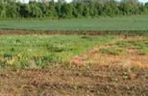 Hiệu quả sử dụng đất ở đâu? 