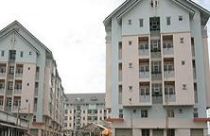 “Phản pháo” tư vấn ngoại 