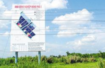 ĐBSCL: Chỉ thu hồi được 62 ha/800.000 ha đất sai phạm 