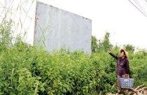 Khu đô thị Sing Việt: Chờ ngày khai tử?