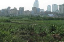 Hết “sóng” là… vỡ nợ 