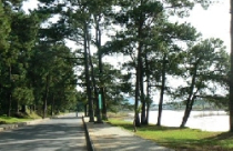 Bỏ ý định tách Đà Lạt khỏi tỉnh Lâm Đồng 