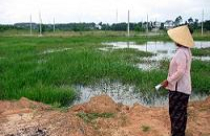 Chưa có quyết định thu hồi đất đã bị giải toả