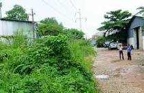 Đất tái định cư thành... đất hoang