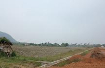 Dự án Khu nông lâm nghiệp ứng dụng ở Vĩnh Phúc: Thật, giả lẫn lộn 