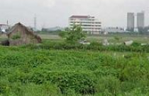 Giá đất nền tiếp tục rơi