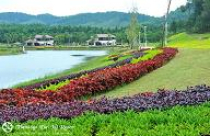 Mở bán biệt thự Flamingo Villa 3 với giá từ 5 tỷ đồng/căn