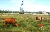 Báo động ô nhiễm môi trường ở các khu kinh tế 