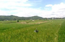 Chậm GPMB Dự án BĐS Thành Công, Hải Phòng : DN ngồi trên lửa ! 