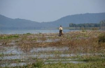 “Xẻ thịt” hồ Dầu Tiếng