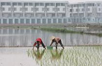 Xung quanh bảng giá đất Hà Nội năm 2012: Xa thị trường nên chỉ để ... tham khảo 