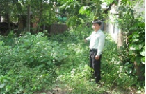 Cấp giấy chứng nhận quyền sử dụng đất ở Hoài Ân (Bình Định) Bài 1: Không hiểu luật hay… cố tình gây khó khăn? 