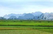 Thống nhất các chỉ tiêu quan trọng trong quy hoạch đất 10 năm tới 