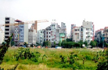 Trả giá vì đầu cơ