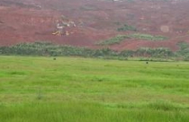 Thanh Hóa: Đất nông trường thành đất bỏ hoang? 