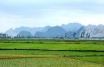 Quảng Bình: Chuyển đổi 790 ha đất phục vụ 45 dự án, công trình cấp bách 