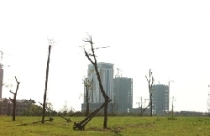 Vì sao dự án bất động sản giảm giá 'khủng' vẫn ế ẩm? 