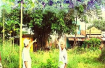 Xung quanh việc đền bù đất ở đình Phú Lợi: Tại sao “lấy râu ông nọ cắm cằm bà kia”? 