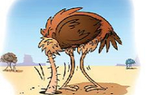 Bất động sản năm Rồng sẽ 'thăng' hay tiếp tục chìm? 