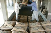 Nhiều DN xi măng sẽ phá sản?