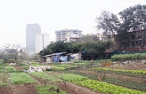 Quy định mới về chuyển đất xen kẹt thành đất ở: Tháo gỡ hay tiếp tục bế tắc?