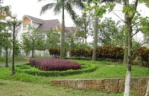 Thị trường đất nền ven đô: Diễn biến trái chiều 