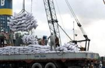 Tiêu thụ xi măng năm 2012: Tiếp tục hướng tới thị trường xuất khẩu