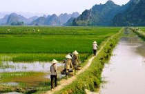 Bỏ thời hạn sử dụng đất nông nghiệp: Nên hay không? 