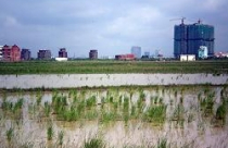 Cần Thơ kiên quyết thu hồi các dự án FDI trây lỳ 