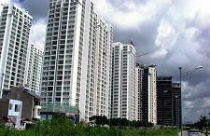 Giá vẫn dẫn dắt thị trường? 