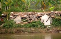 Thủ tướng chỉ đạo về vụ việc cưỡng chế thu hồi đất ở Hải Phòng 