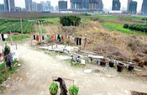 Thủ tướng Trung Quốc kêu gọi - Bảo vệ quyền sử dụng đất của nông dân 