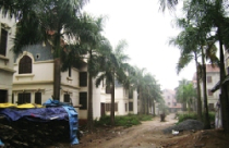 Vui buồn đón Tết tại các dự án đô thị mới 