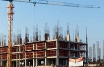 Cò đất nghỉ Tết dài